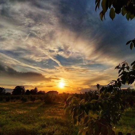 La Fattoria Del Soul Otel Bosco Marengo Dış mekan fotoğraf