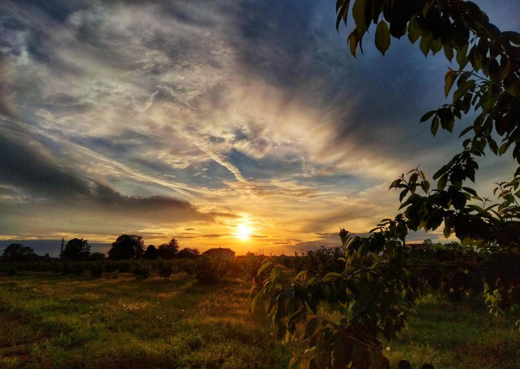 La Fattoria Del Soul Otel Bosco Marengo Dış mekan fotoğraf
